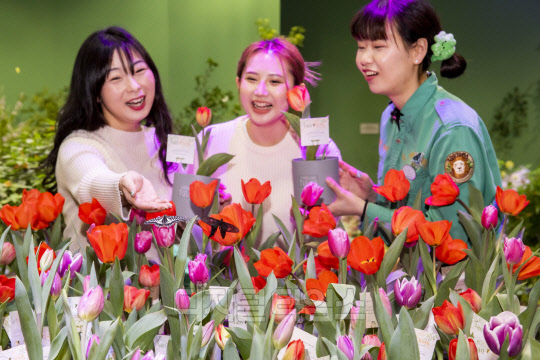 <사진제공=에버랜드>